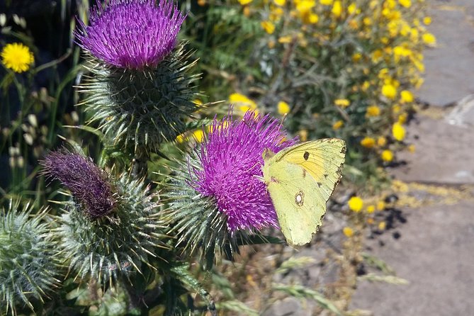 Gastro hike (Private Tour) - What Makes This Tour Special: Personal, Authentic, and Sustainable