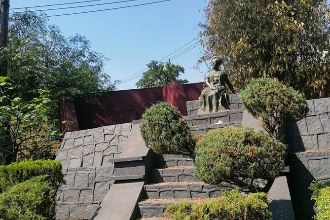 Gastronomic experience in Coyoacán - Logistics: Safety, Hygiene, and Accessibility