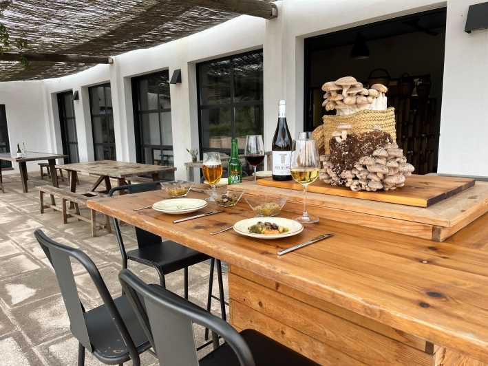 GASTRONOMIC MUSHROOM EXPERIENCE. Tour not included - Key Points