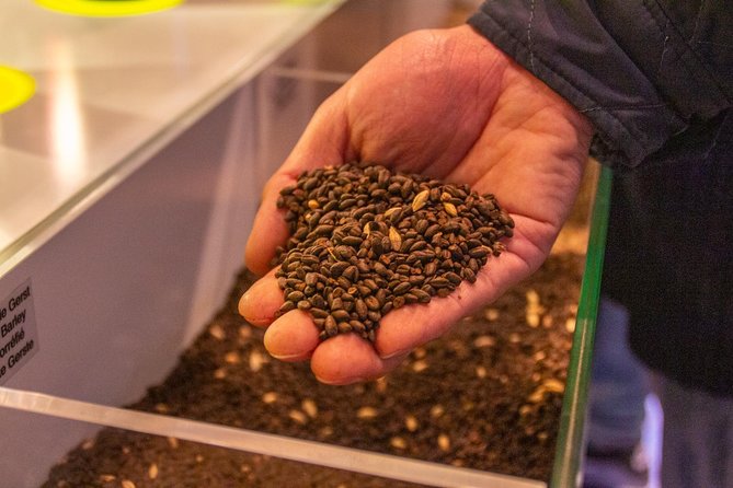 Gastronomic Tour: A Taste of Bruges - Key Points