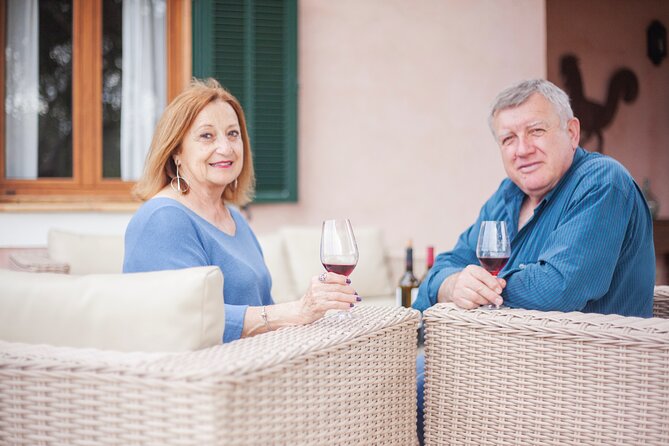 Gastronomic Wine Tasting Experience Guided by a Sommelier - Tasting Local Delicacies and Snacks