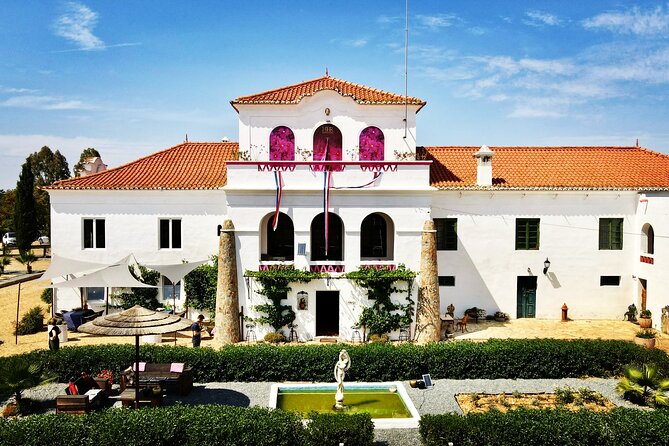 Gastronomic Wine tasting in Mértola, Alentejo - Discover the Charm of Mértola’s Premium Wines for $20.24