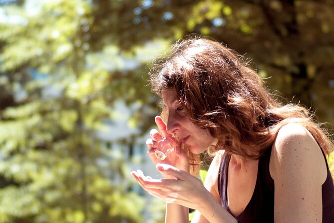 Gastronomy tasting through oil, wine and cheese in Turin - The Guide’s Expertise and Personal Touch