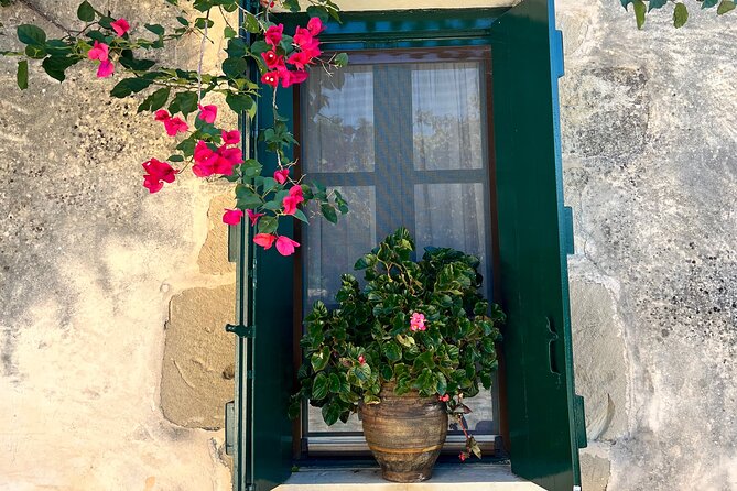 Gastronomy tour and wine tasting in traditional villages - Guided Tours of the Olive Oil Factory and Historic Church