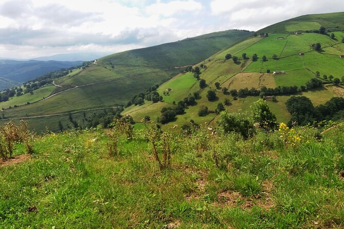 Gastronomy tour with tastings - small groups - Key Points