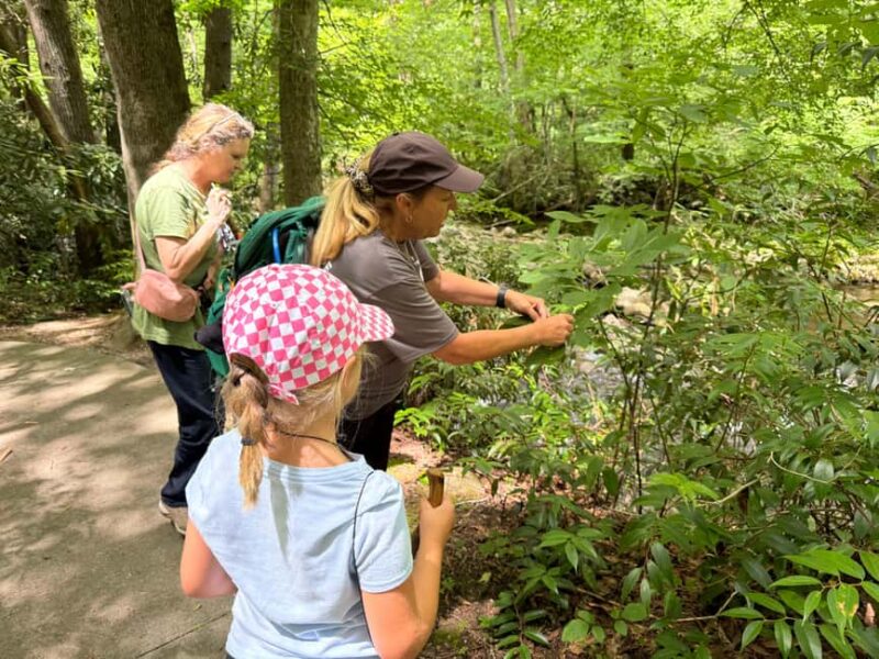 Gatlinburg: Adventure Hike and Craft for Kids - Receive a Goodie Bag and Trail Snack
