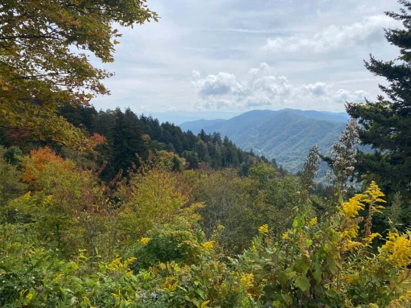 Gatlinburg: Great Smoky Mountains National Park Classic Tour - The Guide: Knowledgeable and Friendly