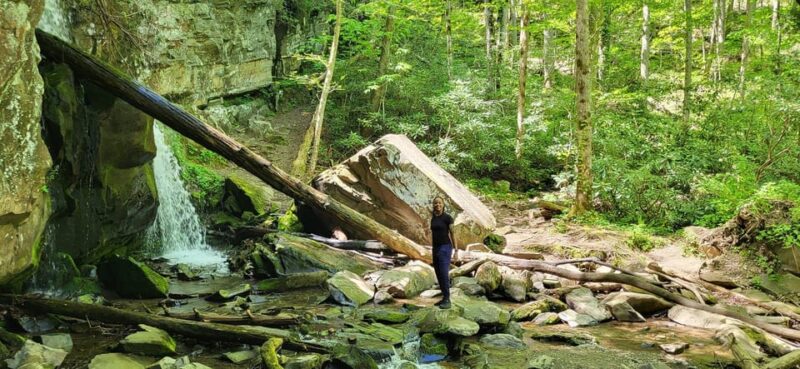 Gatlinburg: Great Smoky Mts National Park Waterfall Tour - Scenic Trails and Moss-Covered Boulders