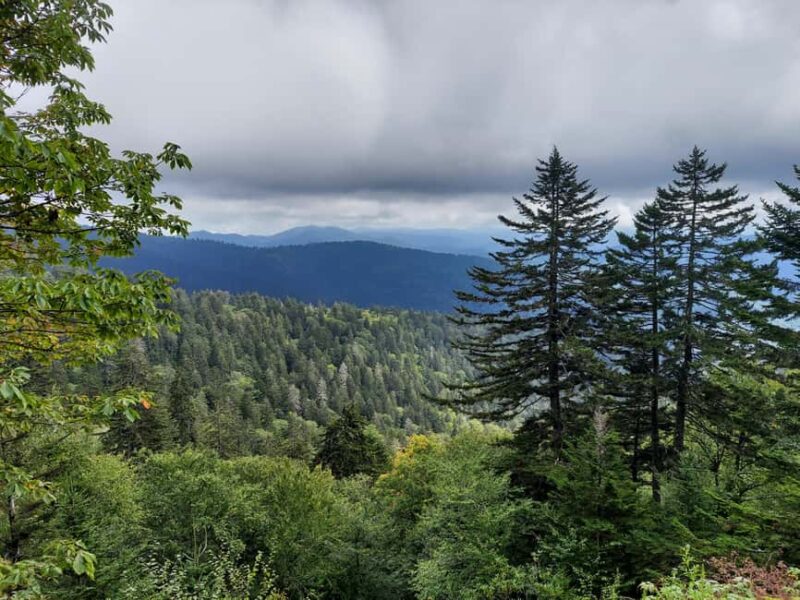 Gatlinburg: Smoky Mountain Appalachian Bald Guided Hike - Final Thoughts on the Smoky Mountain Appalachian Bald Guided Hike