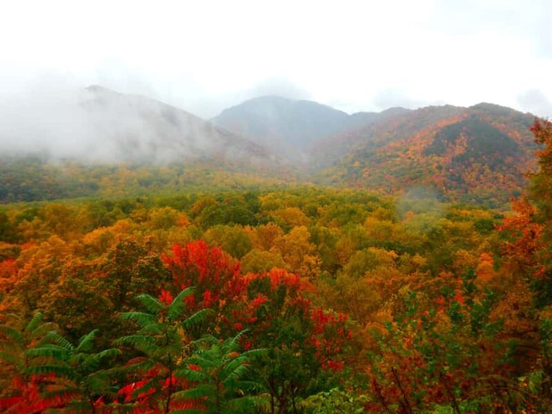 Gatlinburg: Smoky Mountains Fall Foliage Guided Tour - Exploring the Best Trails for Fall Views