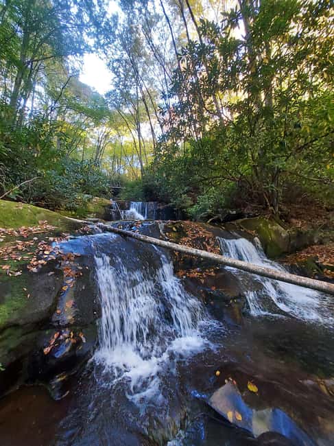 Gatlinburg: Smoky Mountains Fall Foliage Guided Tour - Walking Along a Mountain Stream in a Tunnel of Color