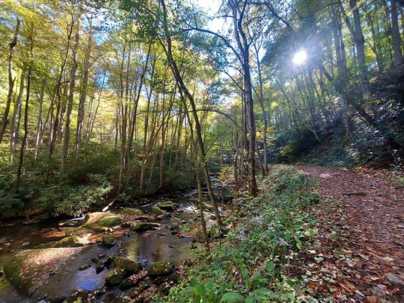 Gatlinburg: Smoky Mountains Fall Foliage Guided Tour - Booking and Cancellation Policies