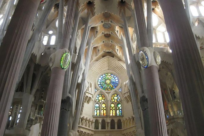 Gaudí Essential : Sagrada Familia Guided Tour - Tower Access and Panoramic Views of Barcelona