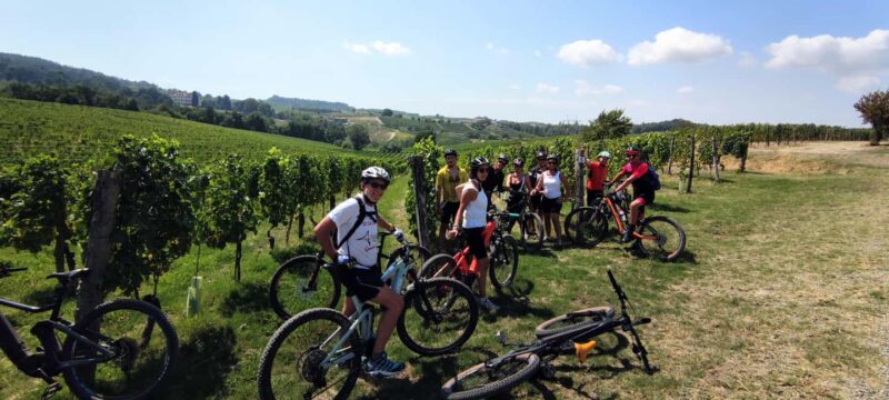 Gavi: E-Bike Tour with Wine Tasting - Key Points
