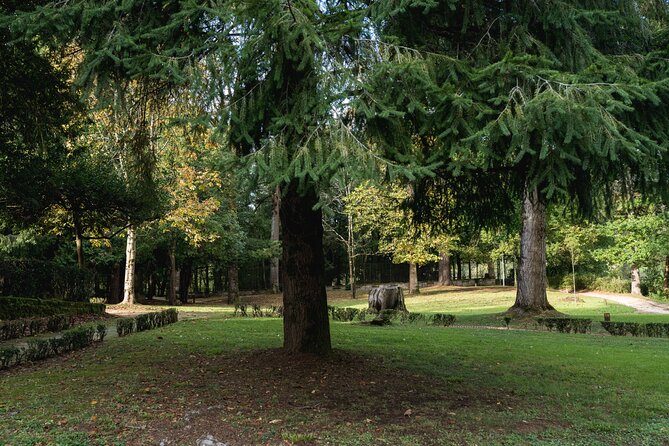 Gaztelugatxe, Mundaka and Gernika Tour from Bilbao - Logistics: Meeting Point, Transport, and Timing