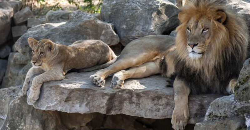 Gdansk: Oliwa Zoo with Tickets and Roundtrip Transportation - Discover the Unique Appeal of Gdansk’s Oliwa Zoo Tour