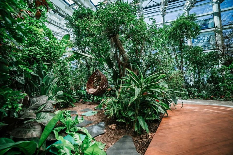 Gdask: Olivia Star Sky-High Views, Dinner, and Cocktails - What’s Included in the Package