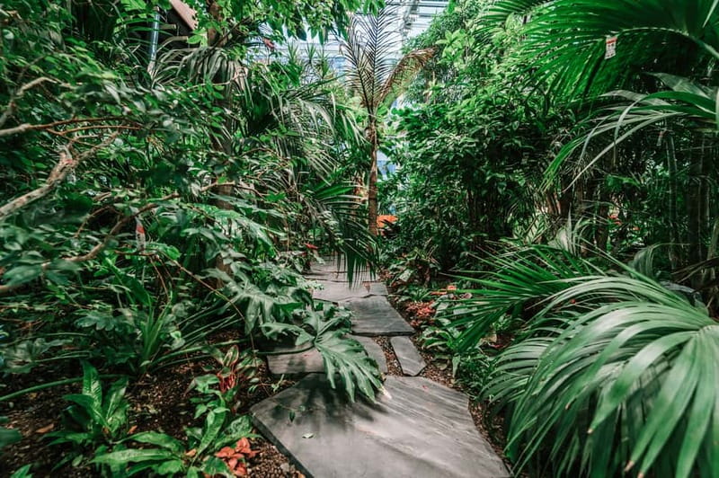 Gdask: Olivia Star Sky-High Views, Dinner, and Cocktails - Comprehending the Price and Value