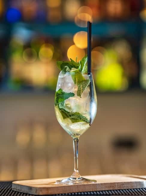 Gdask: Sky-High Views & Cocktail - Olivia Star Top Floor - The Tropical Jungle Experience in Gdask