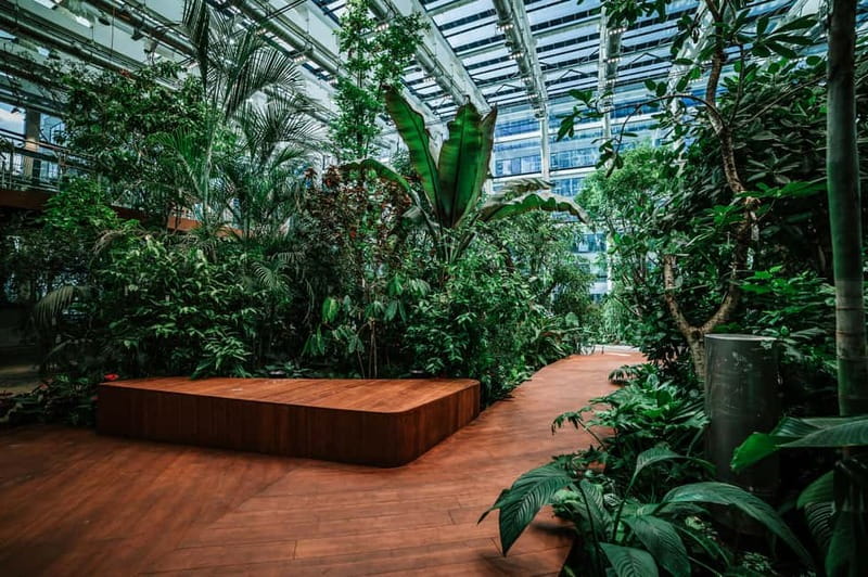 Gdask: Sky-High Views & Cocktail - Olivia Star Top Floor - Who Will Appreciate the Olivia Star Experience?