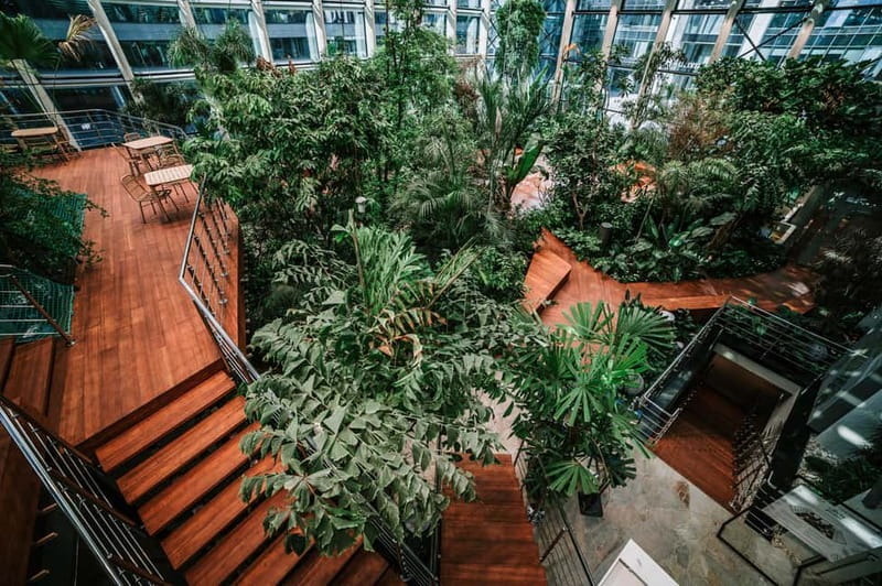 Gdask: Sky-High Views & Cocktail - Olivia Star Top Floor - Gdask’s Olivia Star Top Floor: A Scenic and Lush Escape