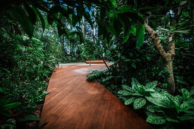 Gdask: Sky-High Views, Dinner&Cocktails - Olivia Star Top Floor - Is This Tour Worth the Price?