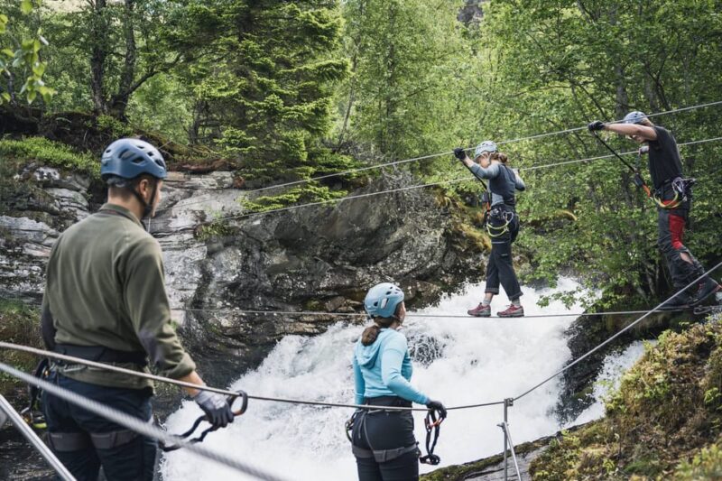 Geiranger: Zipline Park Experience - Crossing the Nepalese Bridge and Forest Walks