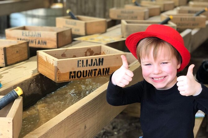 Gem Mining and Goat Farm Walking Tour in Hendersonville - Elijah Mountain Gem Mine and Goat Farm: An Overview of the Setting