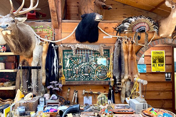 Gem Mining and Goat Farm Walking Tour in Hendersonville - Family-Friendly Activities and Accessibility