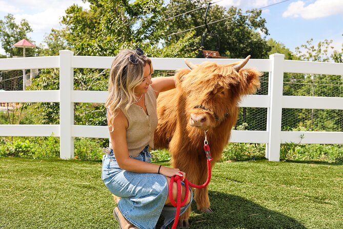 General Admission to SkyLand Ranch with Scenic Chairlift Ride - Live Entertainment and Cowboy Acts: Daily Shows for All Ages