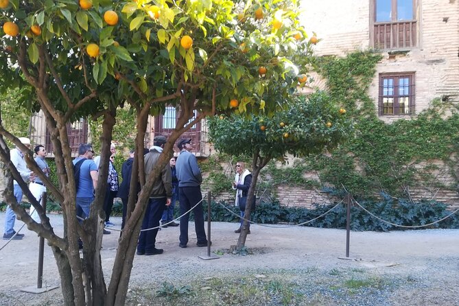 Generalife, Gardens and Alcazaba guided tour (without Nasrid Palaces) - Scenic Views from the Partal and Albaicín Panorama