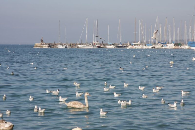Geneva Discovery Walking Tour - Shopping and City Views on Rue de Rhone