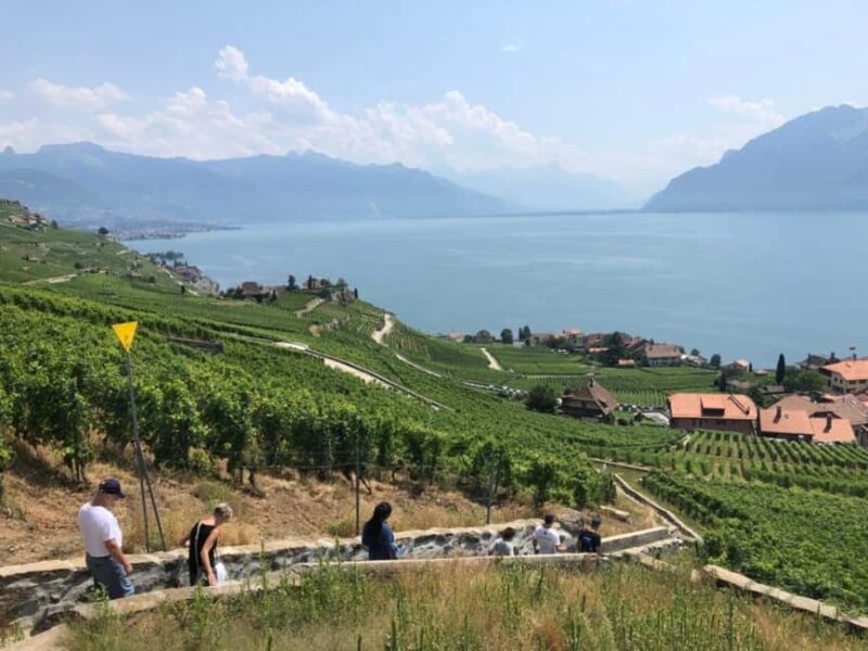 Geneva: Lavaux, Chexbres, and Valais Wine Tasting Tour - Key Points