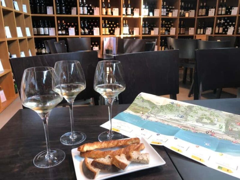 Geneva: Lavaux, Chexbres, and Valais Wine Tasting Tour - Final Thoughts on the Geneva Wine Tour