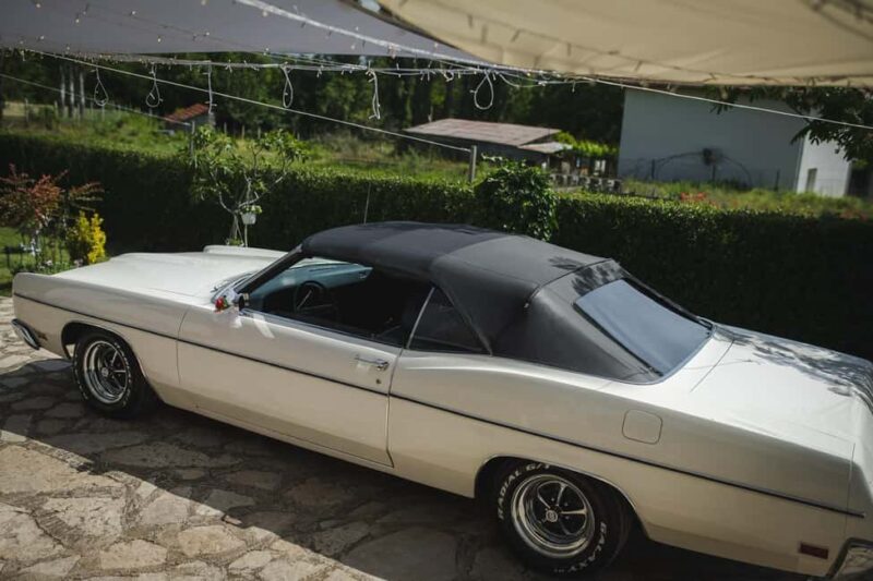 Geneva: Montreux, Lausanne, & Gruyères Private Day Trip - Exploring the UNESCO-Listed Lavaux Vineyards