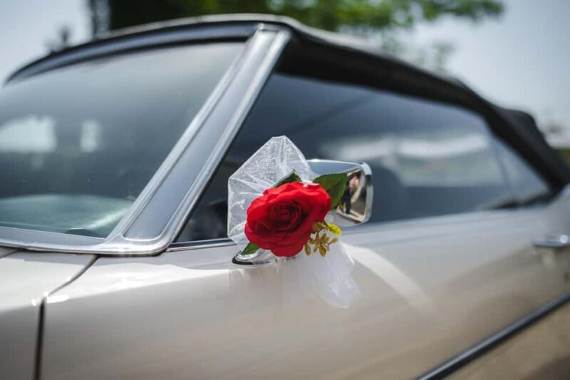 Geneva: Montreux, Lausanne, & Gruyères Private Day Trip - Comfortable Return Journey with Scenic Views