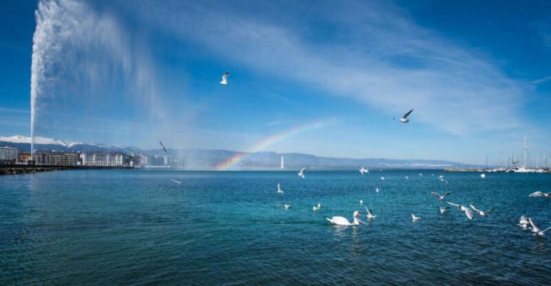 Geneva: Scenic Lake Cruise with Snacks and Wine - The Departure Point: Quai du Mont-Blanc 4 Near the Grand Hotel Geneva