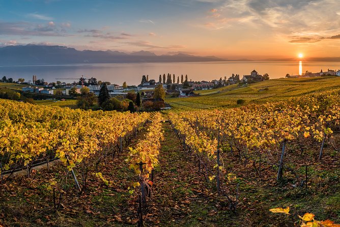 Geneva to Lausanne, Montreux and Château Chillon Private Tour - Tour Pricing, Packages, and What’s Included