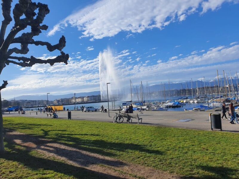 Geneva: United Nations, Old Town and Lake E-Bike Tour - Pacing and Experience