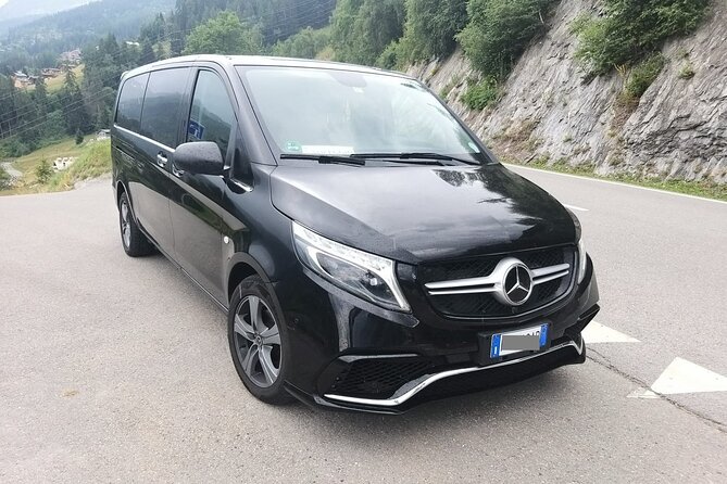 Genoa Airport (GOA) to Genoa - Arrival Private Transfer - Who Will Benefit Most from This Service