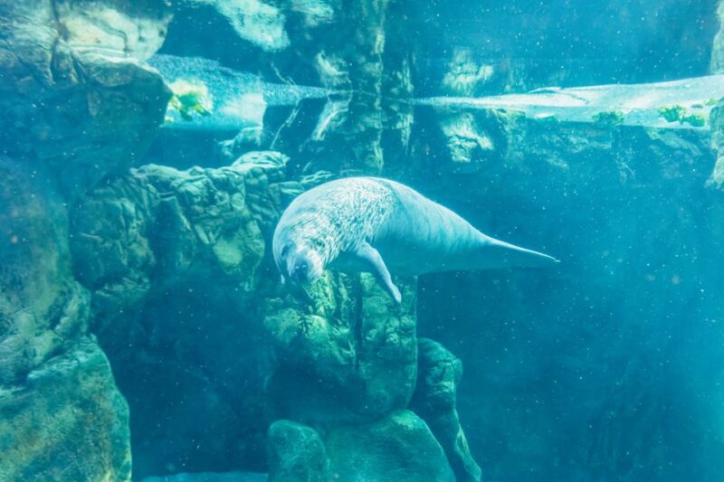 Genoa: Aquarium of Genoa Entry Ticket - Booking and Cancellation Flexibility