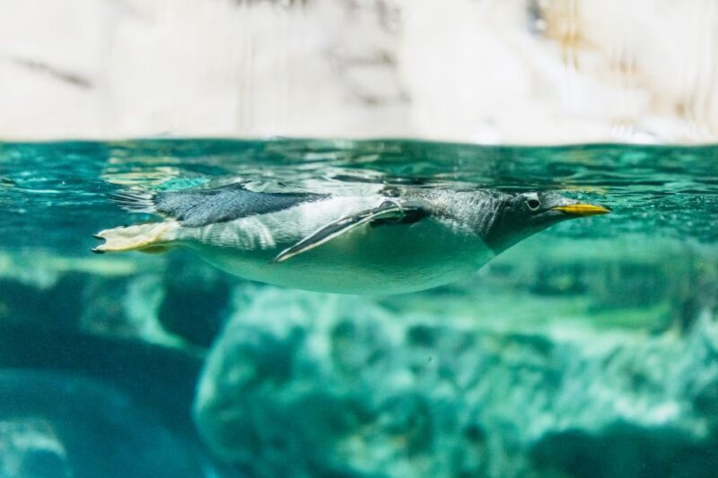 Genoa: Aquarium of Genoa with Lunch - How the Tour Fits into a Genoa Visit