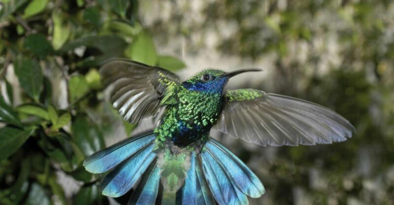 Genoa: Biosfera Entrance Ticket - The Genoa Biosfera: A Modern Architectural Marvel