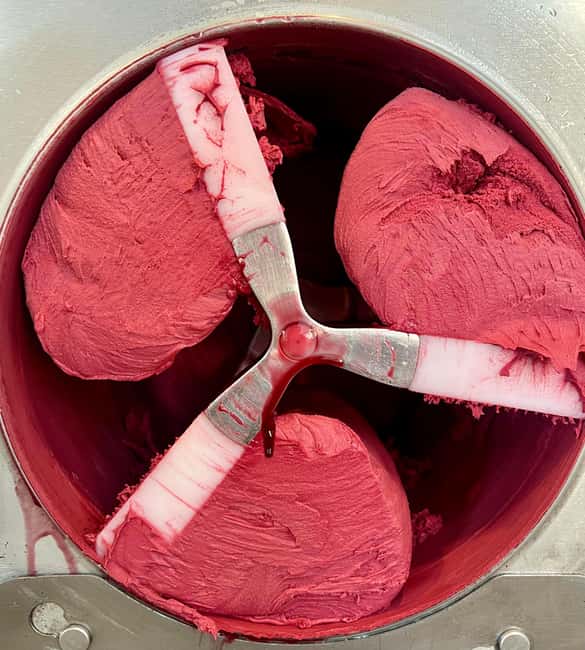 Genoa: Make homemade gelato with a master gelato maker - Unique Features: Taste, Technique, and Takeaway Recipes