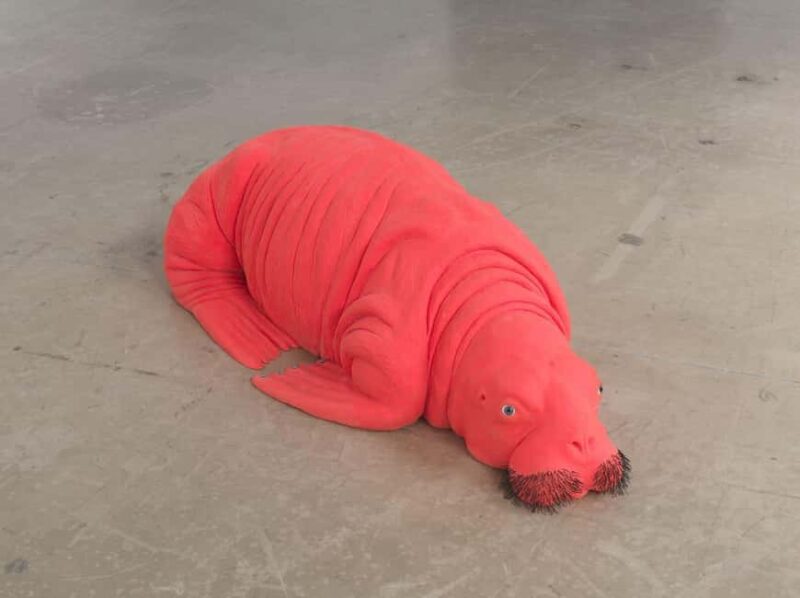 Genoa Palazzo Ducale: Entrance ticket for the Moby Dick - The Whale exhibition. - What the Exhibition Showcases: Art and Cultural Interpretations