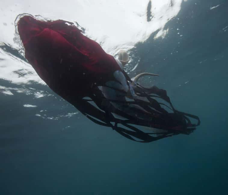 Genoa Palazzo Ducale: Entrance ticket for the Moby Dick - The Whale exhibition. - Maritime History and Genoa’s Connection to the Whale Myth