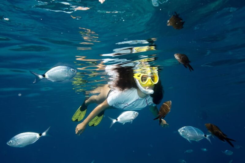 Genoa: snorkeling a stone's throw from downtown - Snorkeling Near Genoas Historic Center at Bagni Liggia