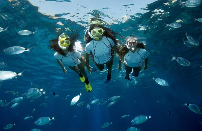 Genoa: snorkeling a stone's throw from downtown - Key Points