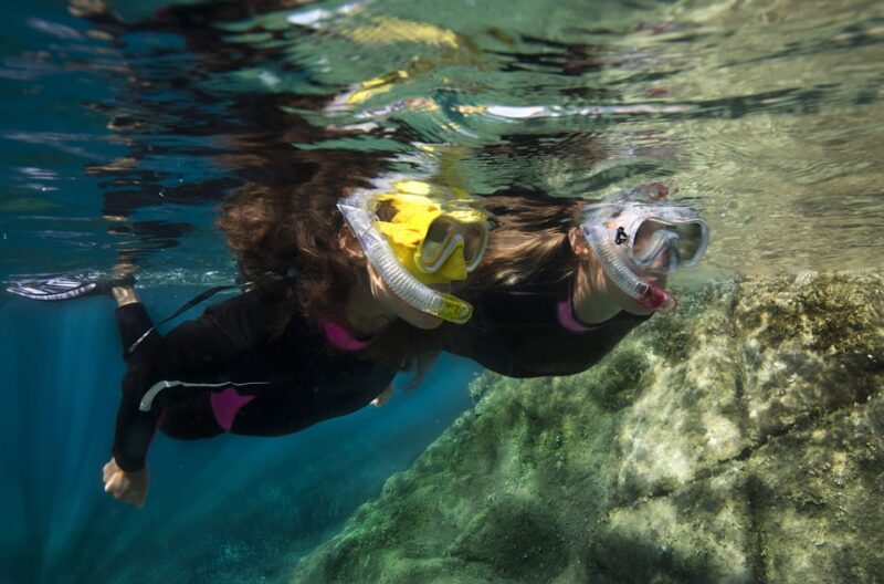 Genoa: snorkeling a stone's throw from downtown - Discover Marine Life Close to Genoa’s Shoreline