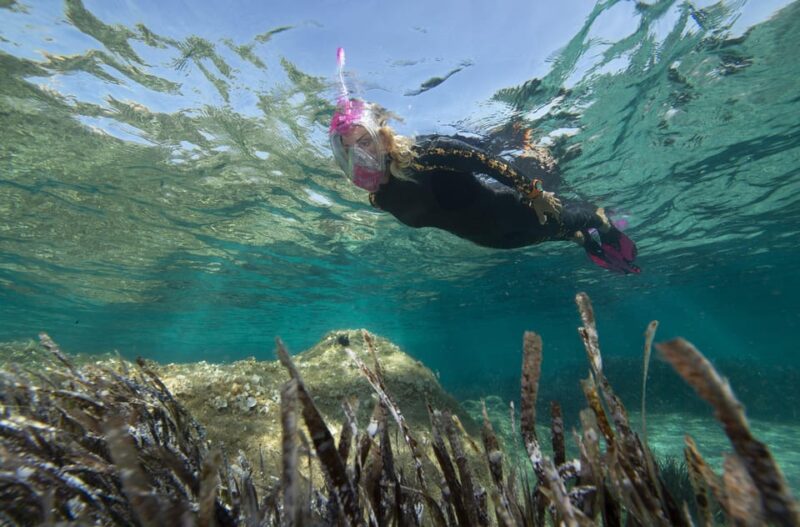 Genoa: snorkeling a stone's throw from downtown - Physical Requirements and Accessibility Notes